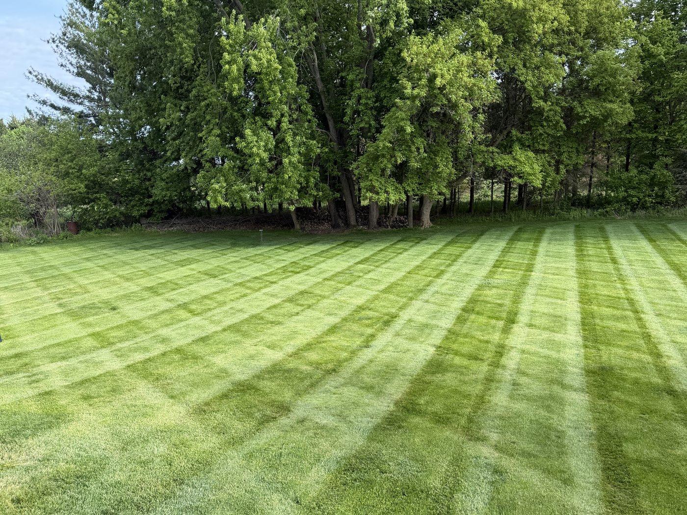 Thick, healthy striped lawn bordered by mature trees