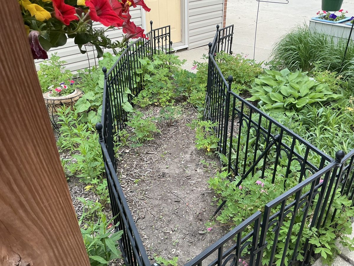 Bare garden path between black fencing near the house, before