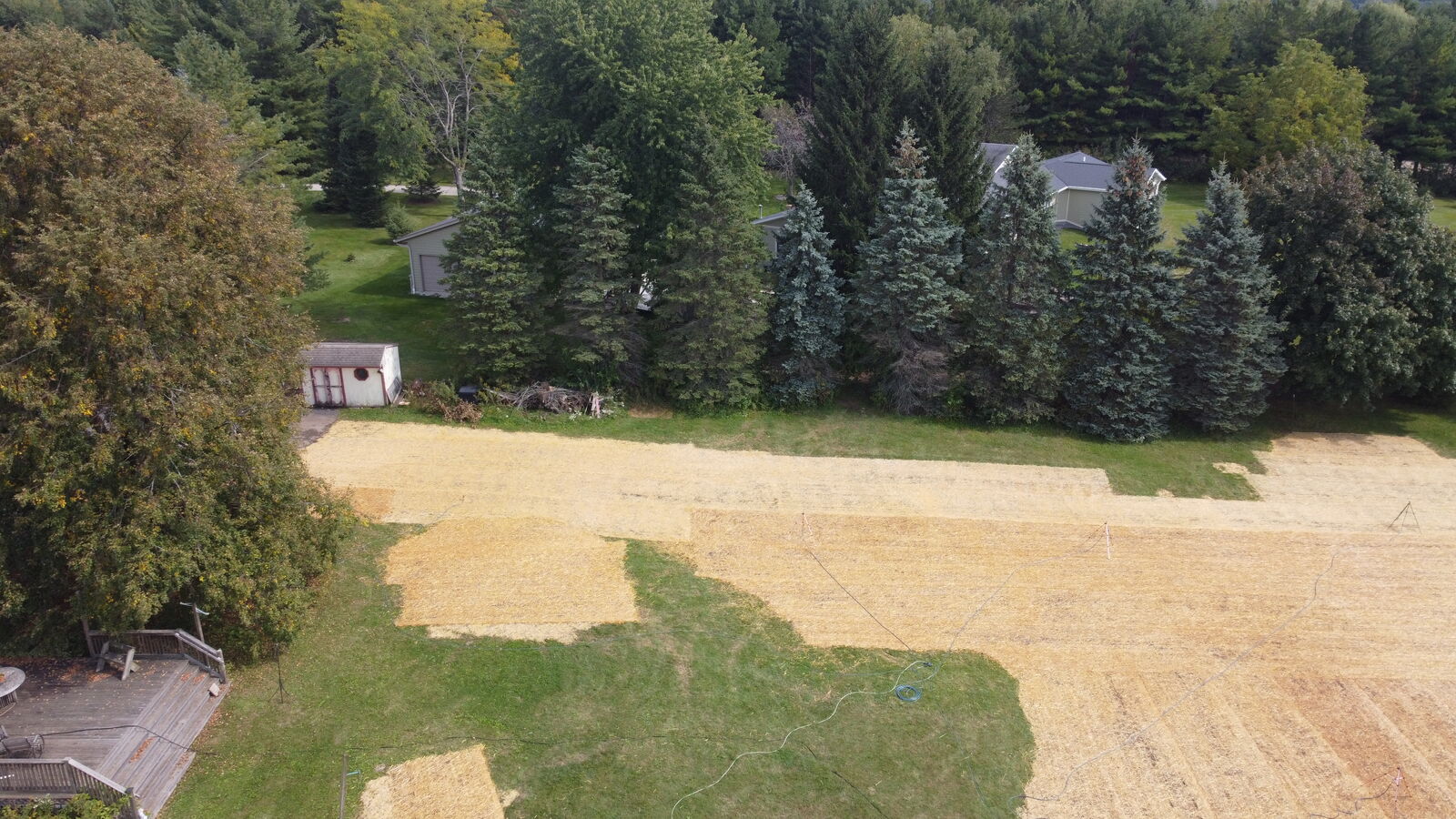 Backyard cleared, graded and covered with seed and straw, after